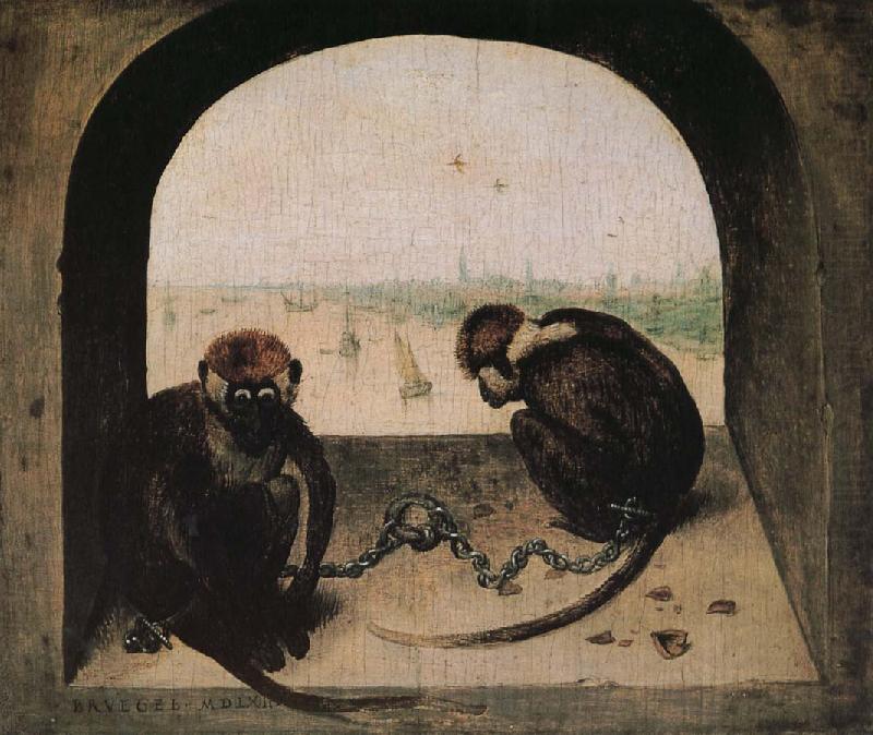 2 monkeys, Pieter Bruegel